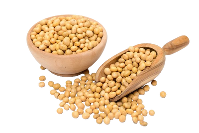 SOY ISOFLAVONES
